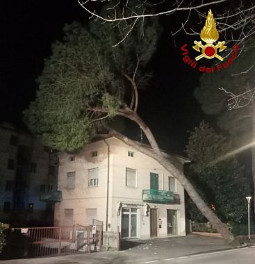 L'albero caduto sul tetto a Montecatini Terme